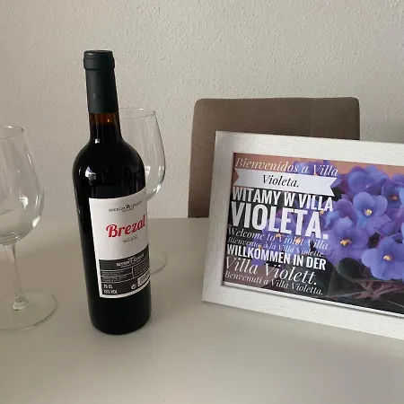 Violeta Prázdninový dům