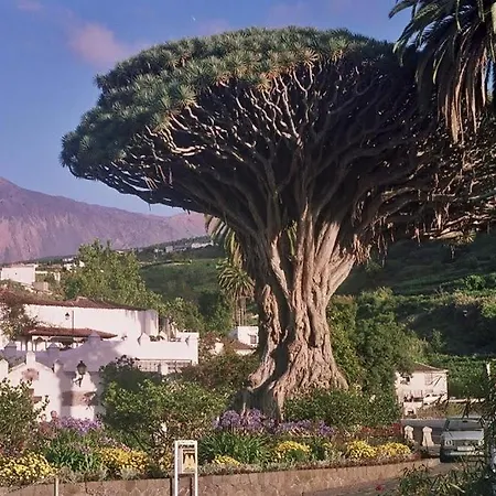 Violeta Prázdninový dům La Laguna (Tenerife)